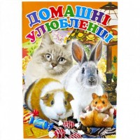 Розмальовка А4 "Домашні улюбленці"