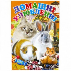 Розмальовка А4 "Домашні улюбленці"