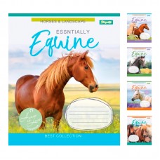 Зошит учнів. А5/12 кл. 1В HORSES Коні