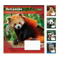Зошит шкільний А5/24 кл. 1В RARE ANIMALS 764563