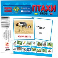 Картки. Птахи. Зірка